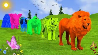 5 Giant Duck CartoonCowElephantzebraTigerLion Paint Wild Animals Crossing Fountain Animation [upl. by Assilram]