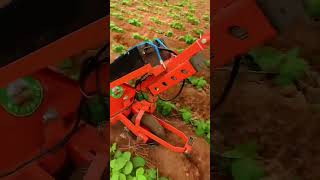 Electric weeding and ditching machine for ridges and ditches Electric weeding and ditching machi [upl. by Etnod930]