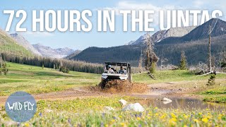 Fly Fishing the Utah Backcountry with Side x Sides [upl. by Alenson84]