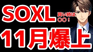 SOXL11月爆上げ [upl. by Hau]