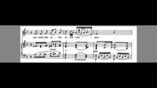 Frühlingsglaube Accompaniment Franz Schubert Low key F [upl. by Nylavad]