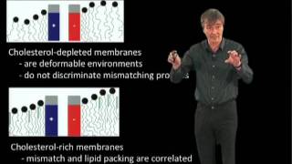 Kai Simons MPI Part 1 The role of lipids in organizing the cellular traffic [upl. by Leeann]