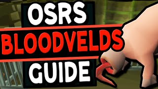 The Ultimate Bloodvelds Guide Old School Runescape [upl. by Abrahams873]