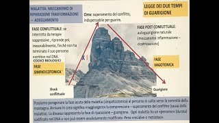 Seminario 3 parte seconda LA LEGGE BIOLOGICA DI GUARIGIONE [upl. by Willtrude260]