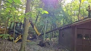 Winnipesaukee Tree Cleanup 2024 [upl. by Snilloc]