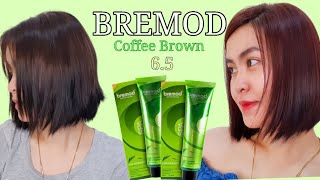 Bremod hair color review 65 Coffee Brownphilipines [upl. by Karly]