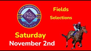 Breeders Cup Saturday 11224 Fields amp Selections  Full Card [upl. by Ayocal4]