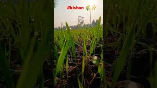 kishan anndata farmingarmy [upl. by Carlen760]