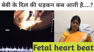 Fetal heart beat ❤ बेबी के दिल की धड़कनFHR Drshikha Agarwal [upl. by Nahk708]