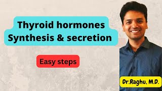 Endocrinology  Synthesis amp secretion of Thyroid hormones  mbbs [upl. by Nnaitsirhc150]