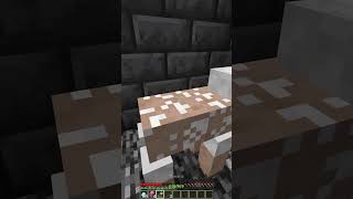 How To Escape Lucky Trap Moment shorts minecraft meme [upl. by Adnicul]