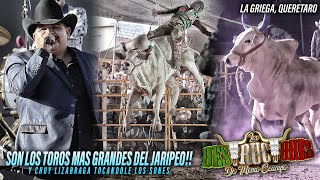 SON LOS DOS TOROS MAS GRANDES DEL JARIPEO Y CHUY LIZARRAGA TOCANDO LOS DESTRUCTORES EN LA GRIEGA [upl. by Arlene]