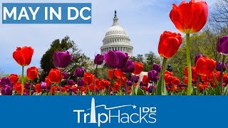 Tips for Visiting Washington DC in May [upl. by Eriuqs]