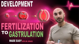 Introduction to Embryology  Fertilisation to Gastrulation Easy to Understand [upl. by Pegg]