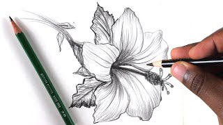 How To Draw A Flower Step by Step In 10 Minutes [upl. by Conlen]