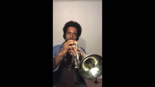 Jean Caze trumpet solo on quotYoung and Beautifulquot Remix [upl. by Haerb]