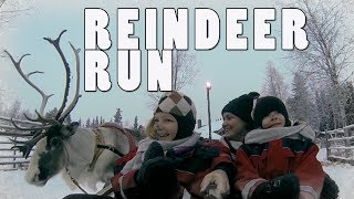 Reindeer Sleigh Ride  Santas Home Lapland [upl. by Harper242]