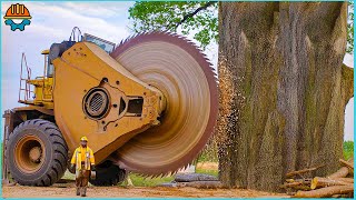 150 Fastest Big Chainsaw Cutting Tree Machines Skills  Tree Felling Climbing With Chainsaw [upl. by Annez]