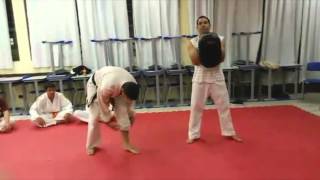 MAWASHI GERI LISTA COMPLETA CON TODAS LAS 17 FORMAS Y VARIANTES DE MAWASHI GERI EN KARATE [upl. by Enened91]