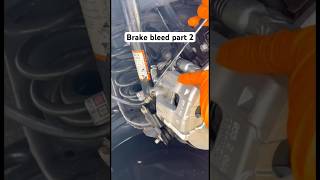 Brake bleed procedure mechanic fixit repairs cars mechanicsoftiktok automotive repair [upl. by Wack192]