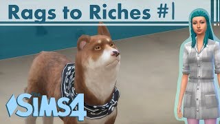 Sims 4  Rags to Riches  A Tent  Ep 1 [upl. by Gaynor]