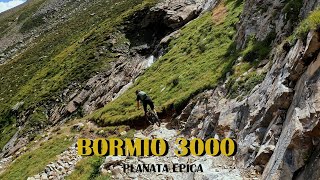 Bormio 3000 MTB  Il ritorno La Montagna in Bicicletta [upl. by Ilona823]