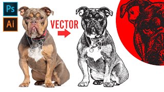 Easy Vectorize Photos Into Graphics Using Photoshop amp Illustrator  Image Trace [upl. by Acinoda]