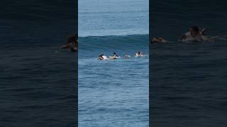 Keramas Beach Surfing Today 6 November 2024 surfing balisurf [upl. by Enneirb]