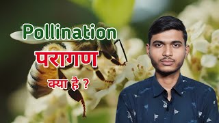 परागण क्या है और प्रकार  What is Pollination and Types  Agent of Pollination  UP Board Exam 2025 [upl. by Akinnej]