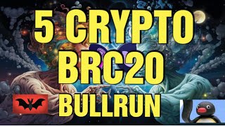 5 cryptomonnaies BRC20 à avoir absolument avant le Bullrun [upl. by Maressa38]