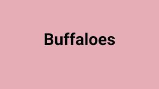 Buffaloes Meaning and Pronunciation [upl. by Egon746]