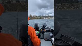 Fishing Blackmouth Chinook in March South Puget Sound [upl. by Sikras]