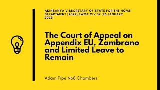 The Court of Appeal on Appendix EU Zambrano and Limited Leave to Remain [upl. by Auroora]