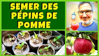 Semer des pépins de pommes en bouteille 🍏🍎 en faisant un gâteau aux pommes  🎂 [upl. by Luedtke]