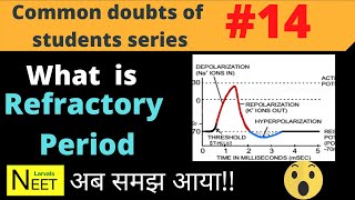 What is Refractory Period in Action Potential  Refractory Period  class 11 Biology  Neet [upl. by Iram738]