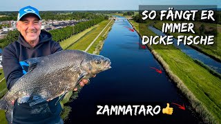 Feederangeln leicht gemacht mit Zammataro 😍 dicke Fische kann er 😉 Angeln wie ein Champion 💪 [upl. by Faye]