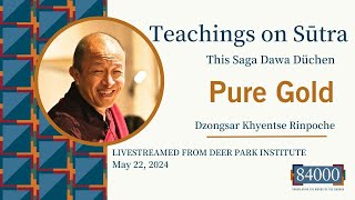 Teachings on Sūtra  Dzongsar Khyentse Rinpoche on Pure Gold [upl. by Ninon]