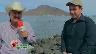 ¿Como se Cultivan Las Perlas Imágenes del campo desde Perlas del Mar de Cortez 250219 [upl. by Irac646]