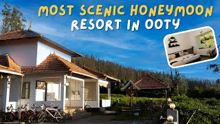 Most Scenic Honeymoon Resort In Ooty  tea estate view  jeep safari  Candle light Dinner [upl. by Akin]