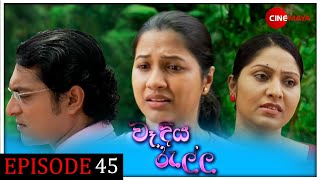 Wadiya ralla  වෑදියරැල්ල  Episode 45 [upl. by Olotrab779]