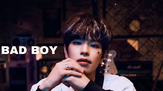 IMAGINE straykids Seungmin  BAD BOY [upl. by Auberta212]