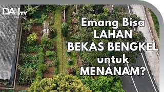 Siasat Menanam di Lahan Bertanah Tidak Sehat [upl. by Luanni254]