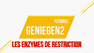 eSVT Tutoriel Geniegen2  Le dépistage dune maladie génétique par les enzymes de restriction [upl. by Aisenat]