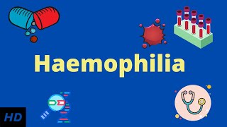 Haemophilia Causes SIgns and Symptoms Diagnosis and Treatment [upl. by Alexandro]