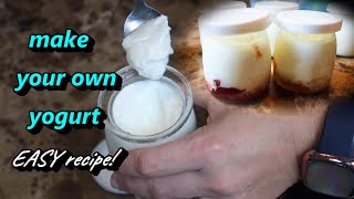 Make your Own Yogurt in the Mueller Yogurt Maker Fresh and EASY [upl. by Marnie]