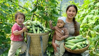 Harvest the melon garden and sell it at the market  go to the lake to trap fish with your children [upl. by Aslehc]