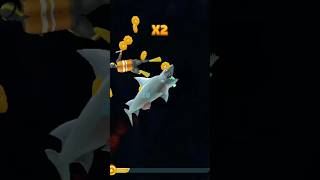 Shark Attack video fish fishing long shark 🦈🦈🦈🦈 [upl. by Nnyledam]