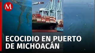 Denuncian derrame de hidrocarburos en puerto de Lázaro Cárdenas [upl. by Brenn]