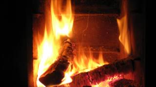 Burning firewood  Timelapse  2012013 [upl. by Hgielsel]