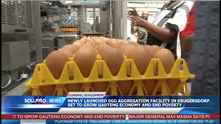 SOWETO TV NEWS  NEWLY LAUNCHED EGG AGGREGATION FACILITY IN KRUGERSDORP SET TO GROW GAUTENG ECONOMY [upl. by Will242]